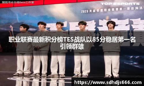 职业联赛最新积分榜TES战队以85分稳居第一名引领群雄